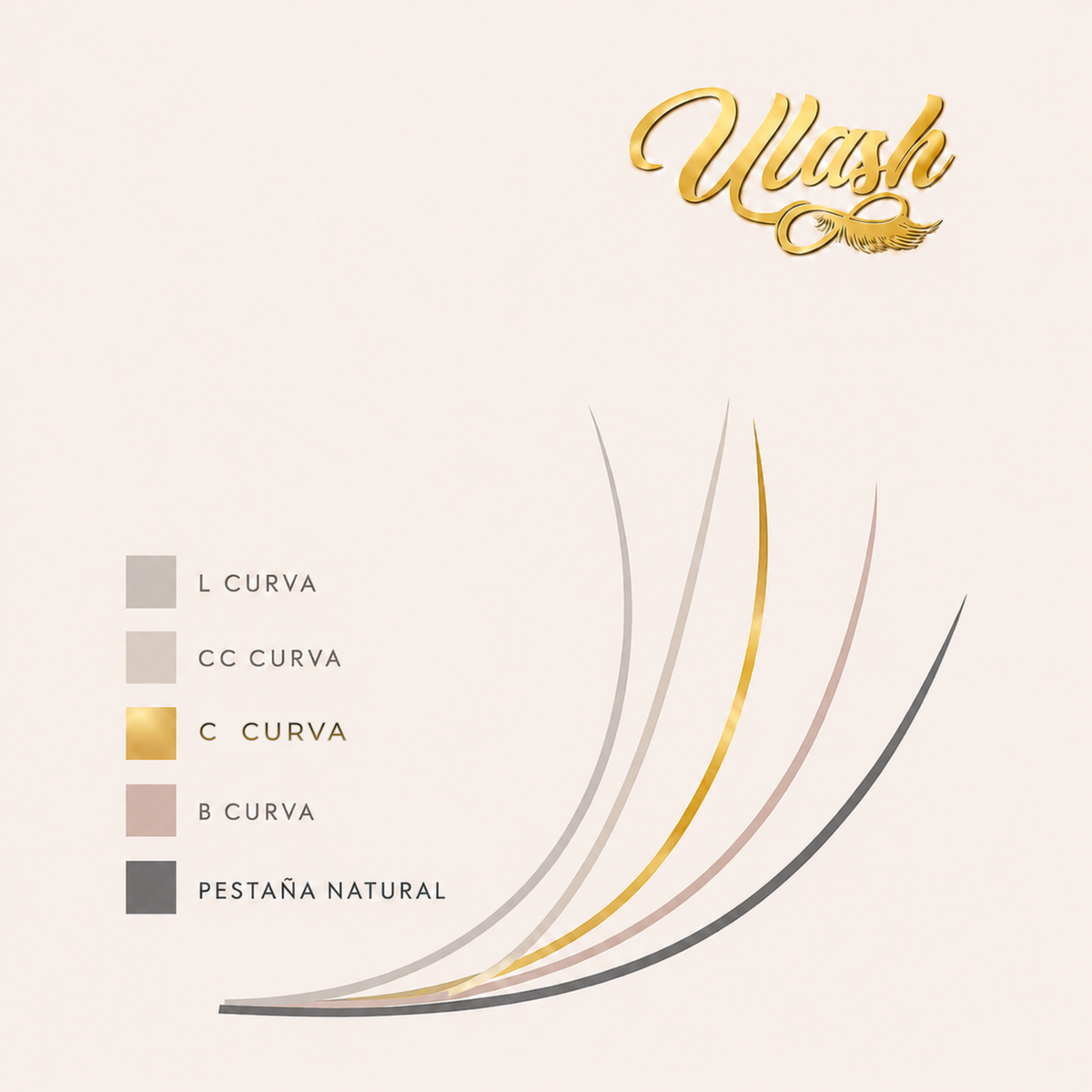 6D | 40 líneas • 1800 abanicos